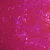 19 Pearly Hot Pink